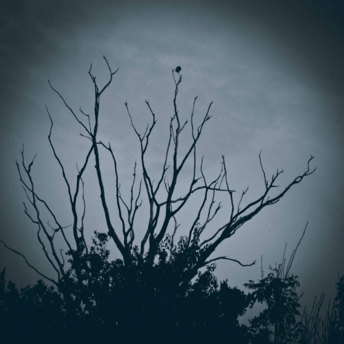 An Autumn For Crippled Children : A New Day Has Come